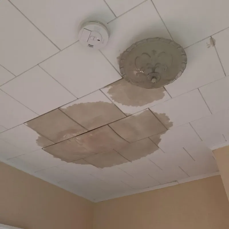 Ceiling Water Damage Repair in Acushnet Center, MA