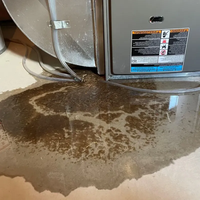 Pipe Burst and Leak Restoration in Acushnet Center, MA