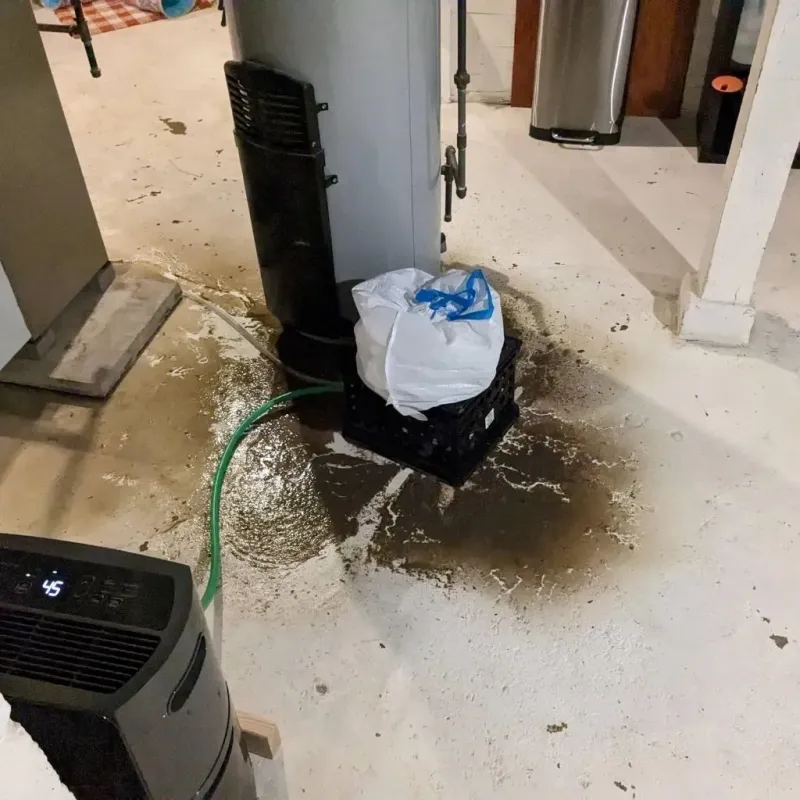 Sewage Backup Cleanup Service in Acushnet Center, MA